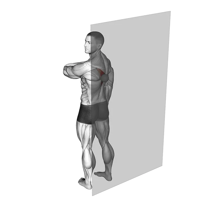 Roll Ball Trapezius Lower (VERSION 2) exercise animation (Männlich)