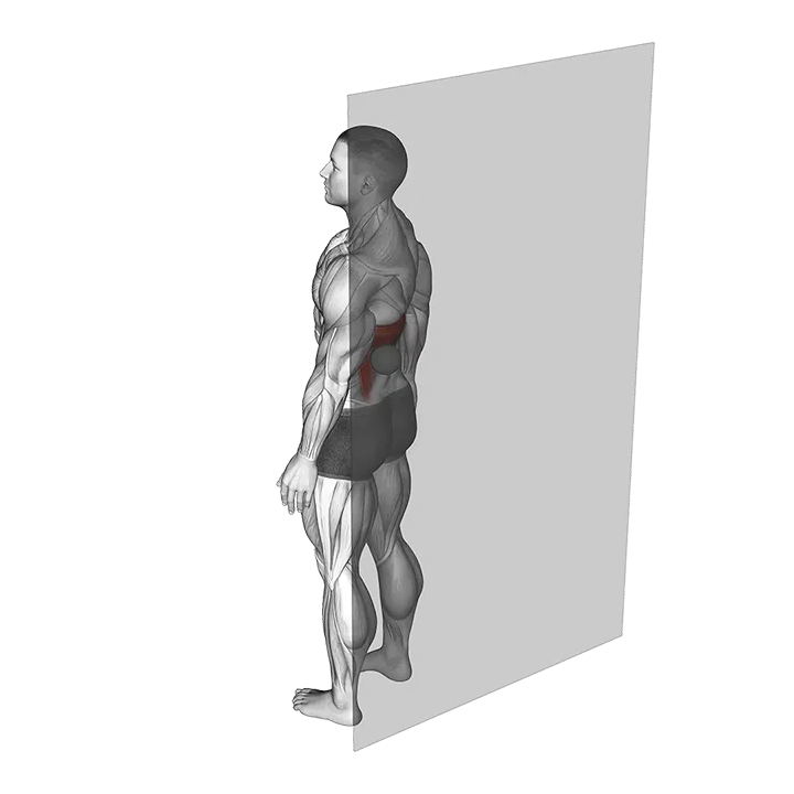 Roll Ball Latissimus Dorsi exercise animation (Male)