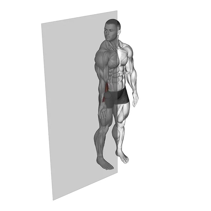 Roll Ball Forearm Flexors exercise animation (Male)