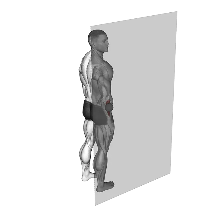 Roll Ball Forearm Supinator exercise animation (Männlich)
