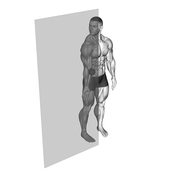 Roll Ball Forearm Pronator exercise animation (Männlich)