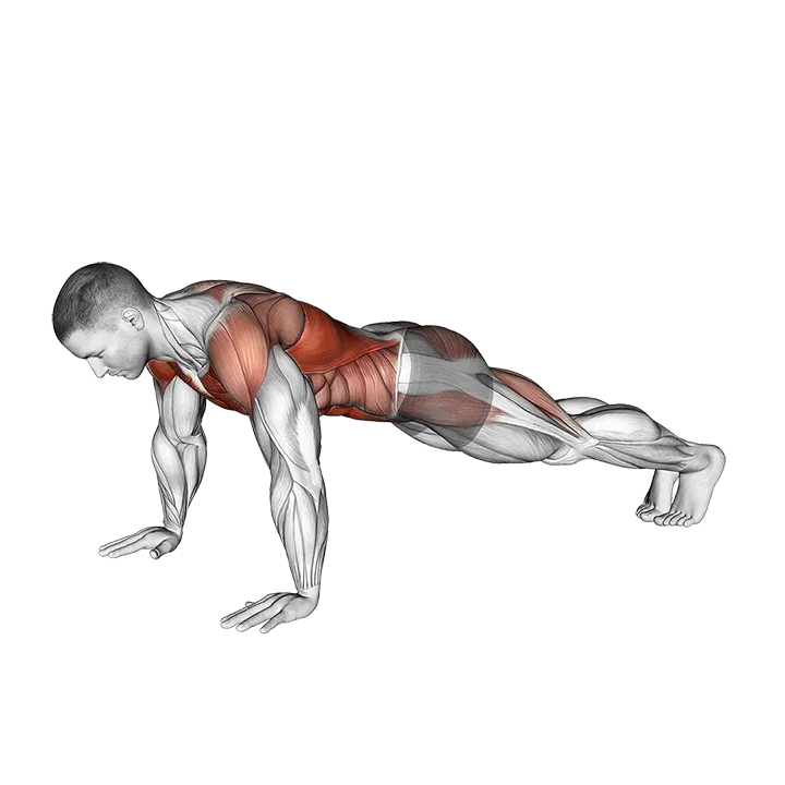 Bodyweight Front Plank to Downward Dog exercise animation (Male)