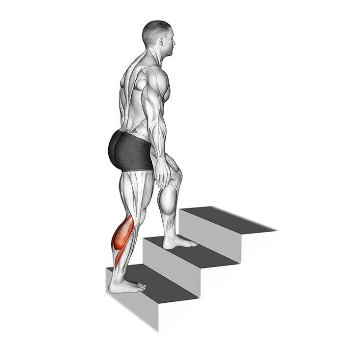 Calves Stretch exercise animation (Male)