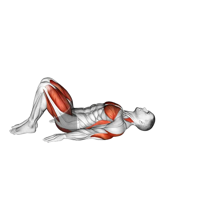 Bridge Pose Setu Bandhasana exercise animation (Male)