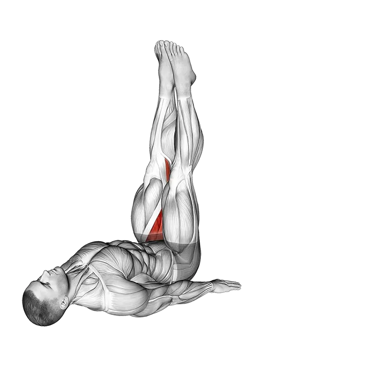 Adductor Stretch exercise animation (Male)