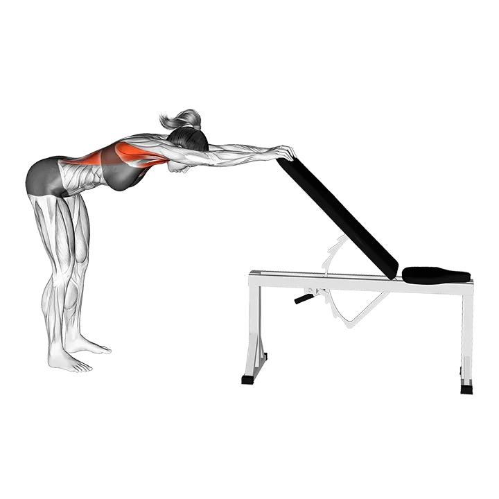 Back Pec Stretch exercise animation (Female)