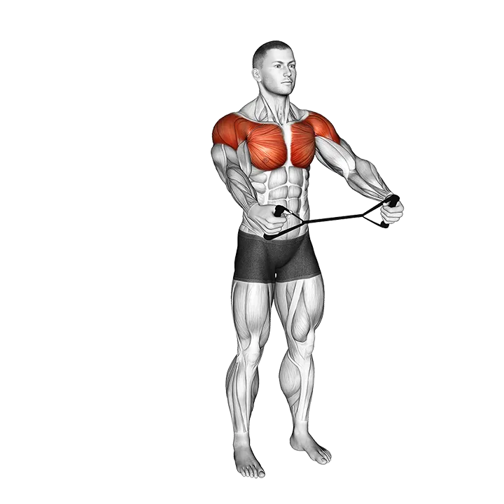 Band Warm-up Shoulder Stretch exercise animation (Male)