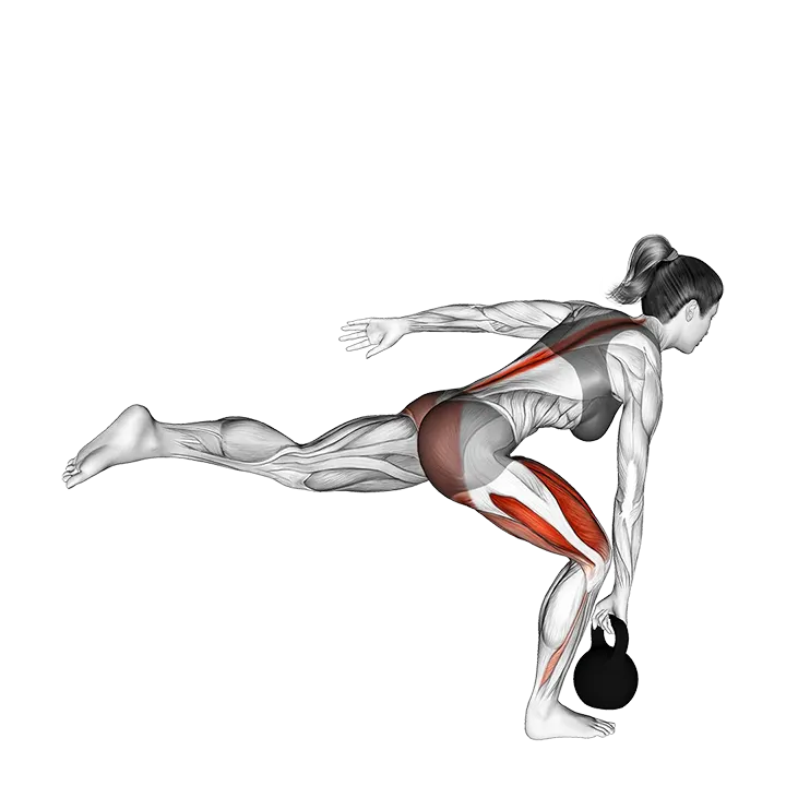 Kettlebell Single Leg Deadlift exercise animation (Female)