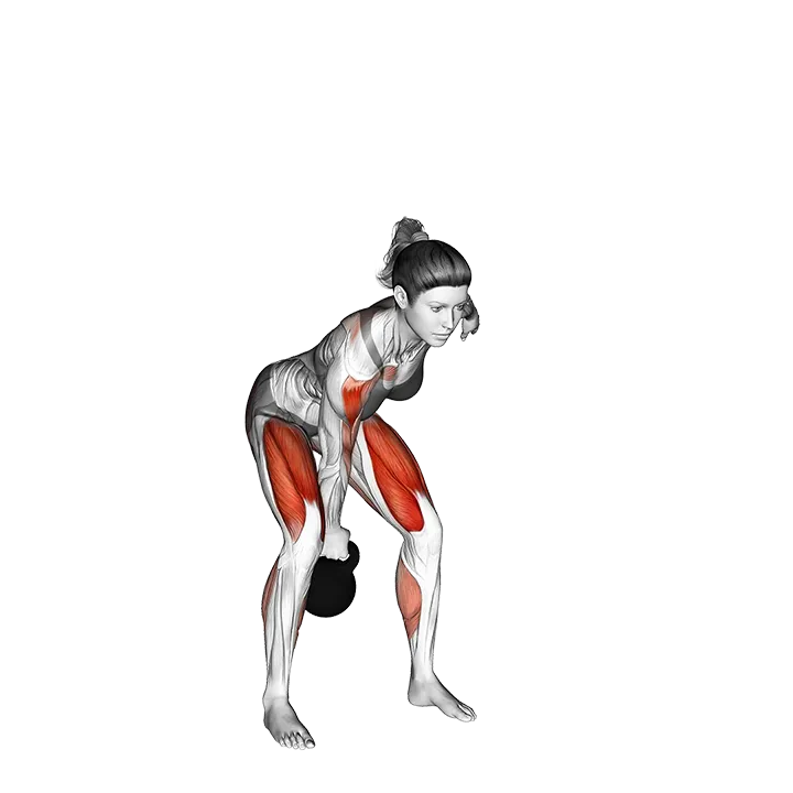 Kettlebell Single Arm Clean exercise animation (Female)