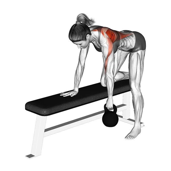 Kettlebell Rear Delt Row exercise animation (Female)