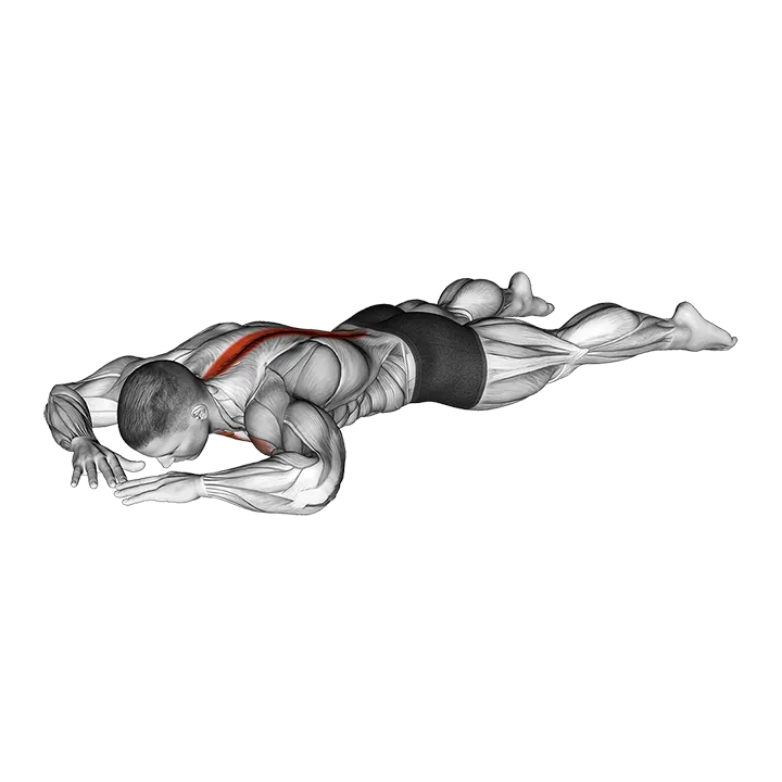 Diamond Press exercise animation (Male)
