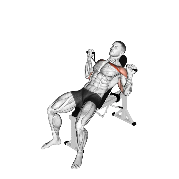 Band Incline Bench Press exercise animation (Male)