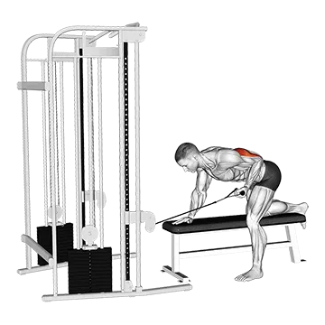 Cable Bent-Over Single Arm Kickback