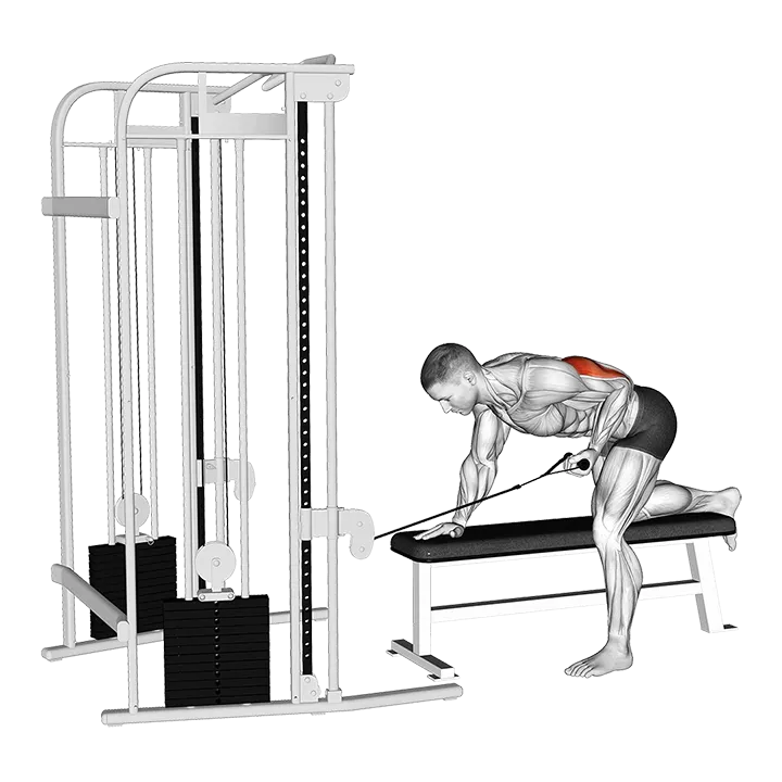 Cable Bent-Over Single Arm Kickback exercise animation (Male)