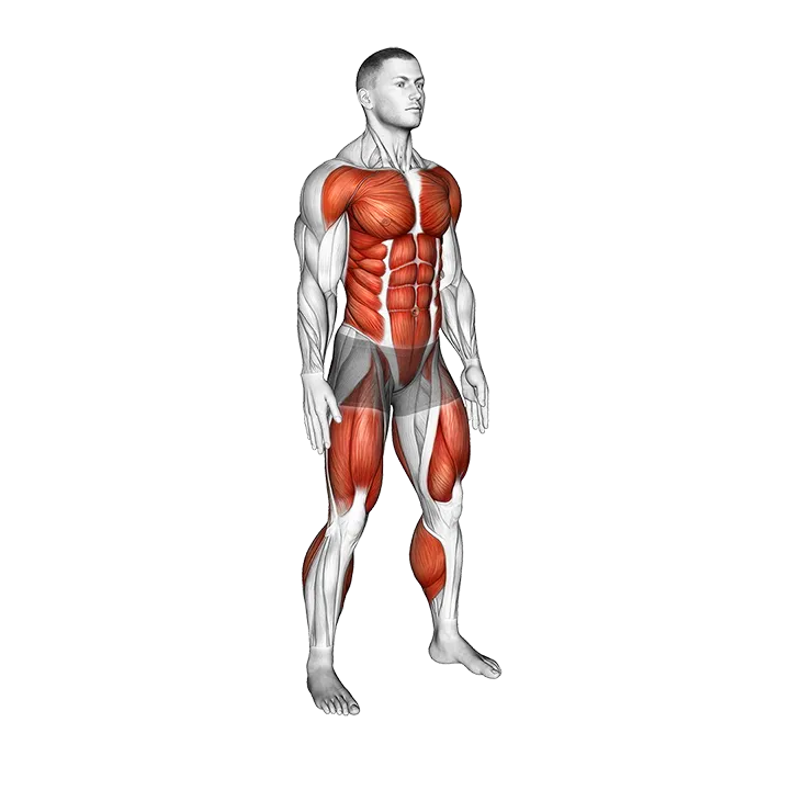 Burpee Squat exercise animation (Male)