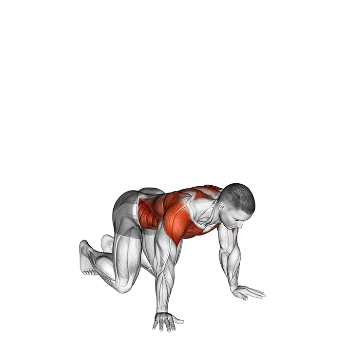 Push Through Reach exercise animation (Male)