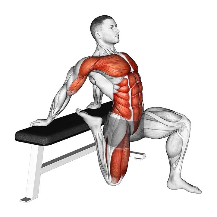 Couch Stretch exercise animation (Male)
