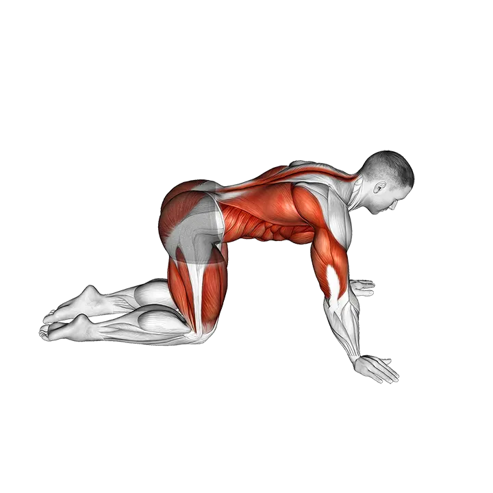 Child to Cobra Pose exercise animation (Male)