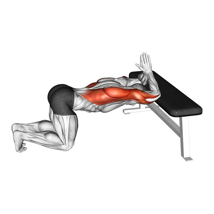 Kneeling Lat Stretch on Bench exercise animation (Male)