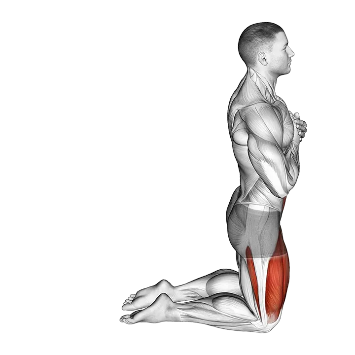 Body Extension exercise animation (Male)