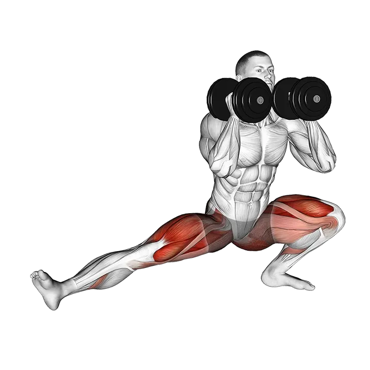 Dumbbell Cossack Squats exercise animation (Male)