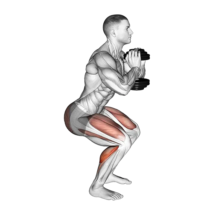 Dumbbell Squat Hold Calf Raise exercise animation (Male)