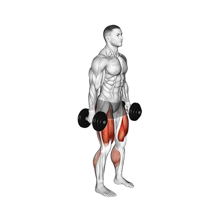 Dumbbell Squat Lunges Jump Complex exercise animation (Male)