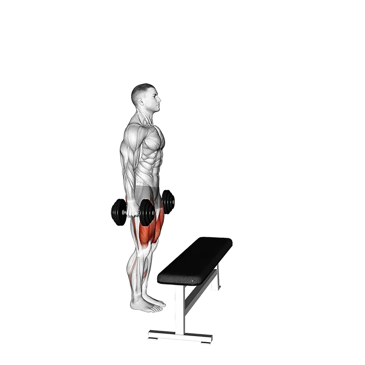 Dumbbell Step-up with Knee Raise exercise animation (Male)