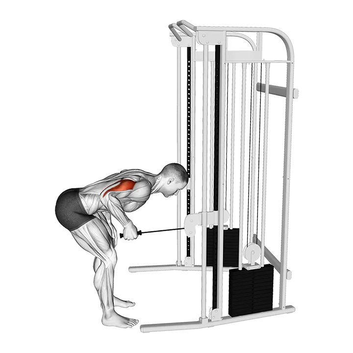Cable Neutral Grip Kickback exercise animation (Male)