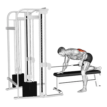 Cable Bent-Over Single Arm Neutral Grip Kickback with Rope Attachment