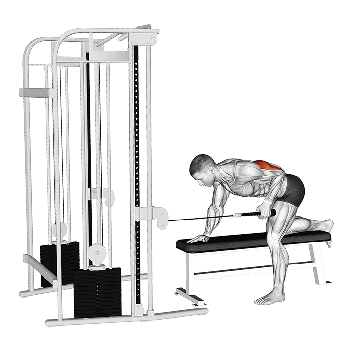 Cable Bent-Over Single Arm Neutral Grip Kickback with Rope Attachment exercise animation (Male)