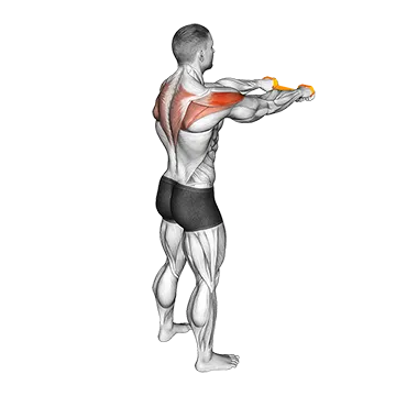 Resistance Band Pull Apart