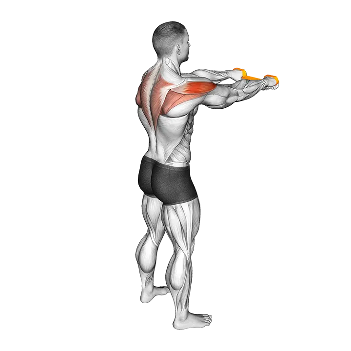 Resistance Band Pull Apart exercise animation (Male)