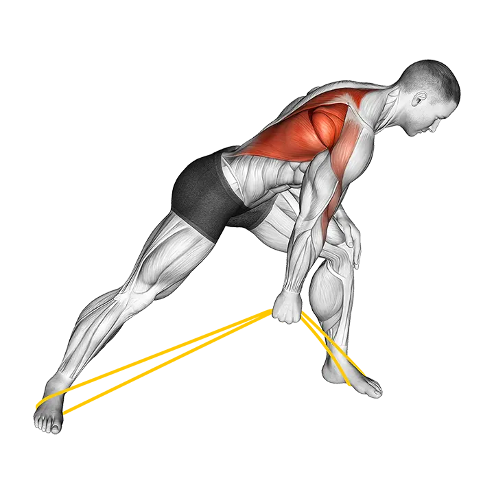 Resistance Band One Arm Bent Over Row exercise animation (Male)