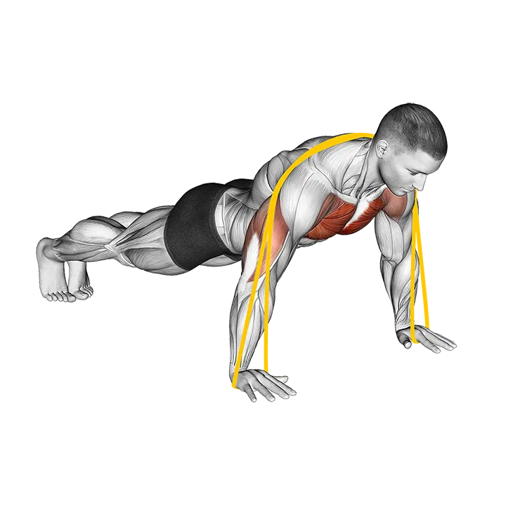 Resistance Band Push-Up exercise animation (Male)
