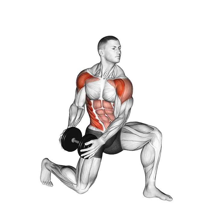 Dumbbell Half Kneeling Lift and Chop exercise animation (Male)