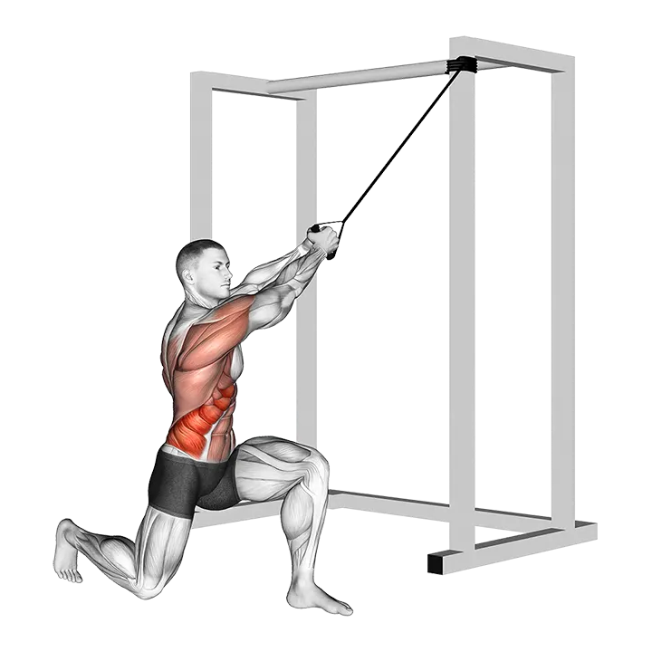 Band Half Kneeling Chop exercise animation (Male)