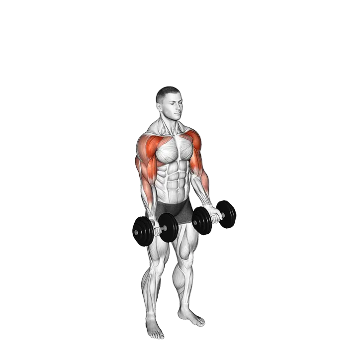 Dumbbell Standing Biceps Curl to Shoulder Press exercise animation (Male)