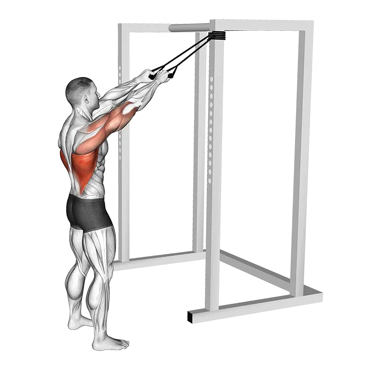 Band Standing Straight Arm Pulldown exercise animation (Male)