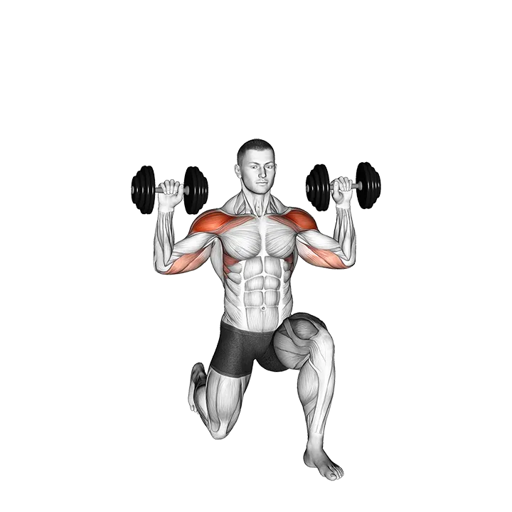 Dumbbell Half Kneeling Military Press exercise animation (Male)