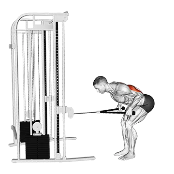 Cable Bent-Over Neutral Grip Kickback with Rope Attachment