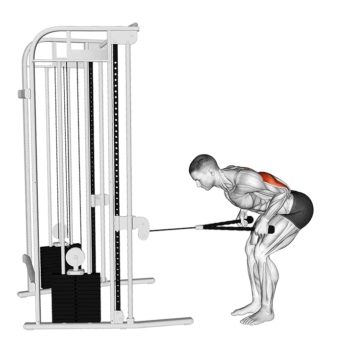 Cable Bent-Over Neutral Grip Kickback with Rope Attachment exercise animation (Male)