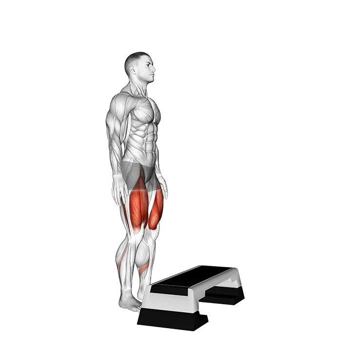 Bodyweight Step-up on Stepbox exercise animation (Male)
