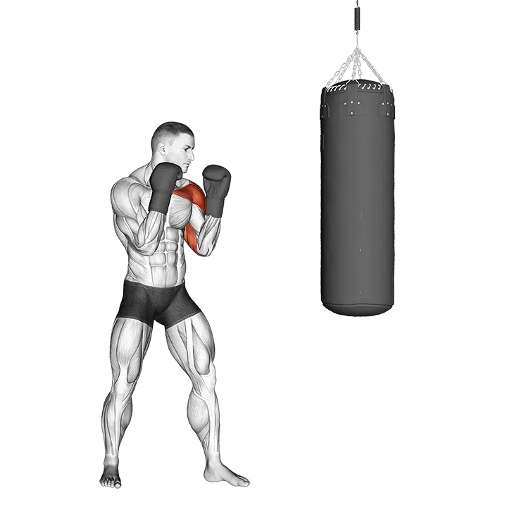 Boxing Jab (with boxing bag) exercise animation (Male)
