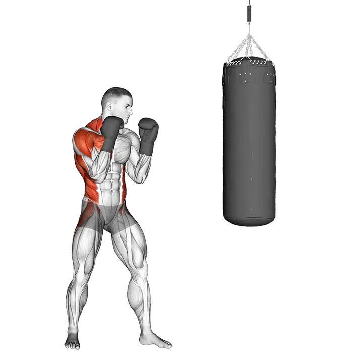 Boxing Right Cross (with boxing bag) exercise animation (Male)