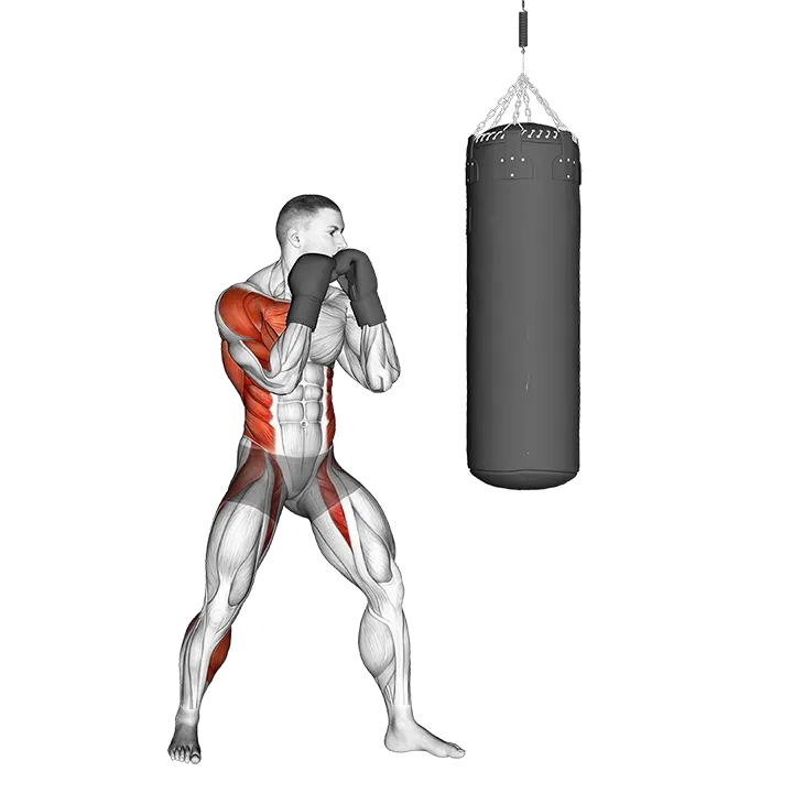Boxing Right Hook (with boxing bag) exercise animation (Male)
