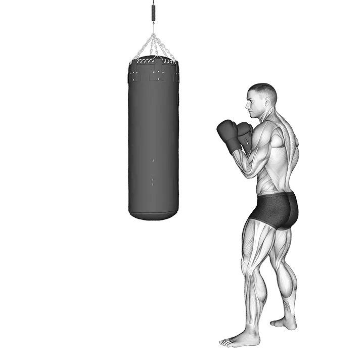 Front Groin Kick Kickboxing (with boxing bag) exercise animation (Male)