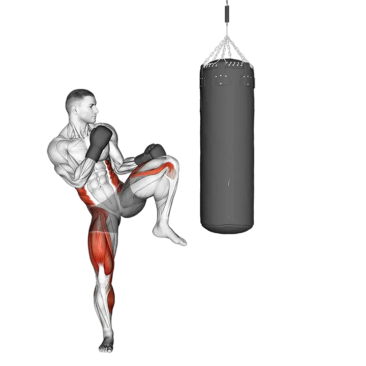 Front Kick Kickboxing (with boxing bag) exercise animation (Male)