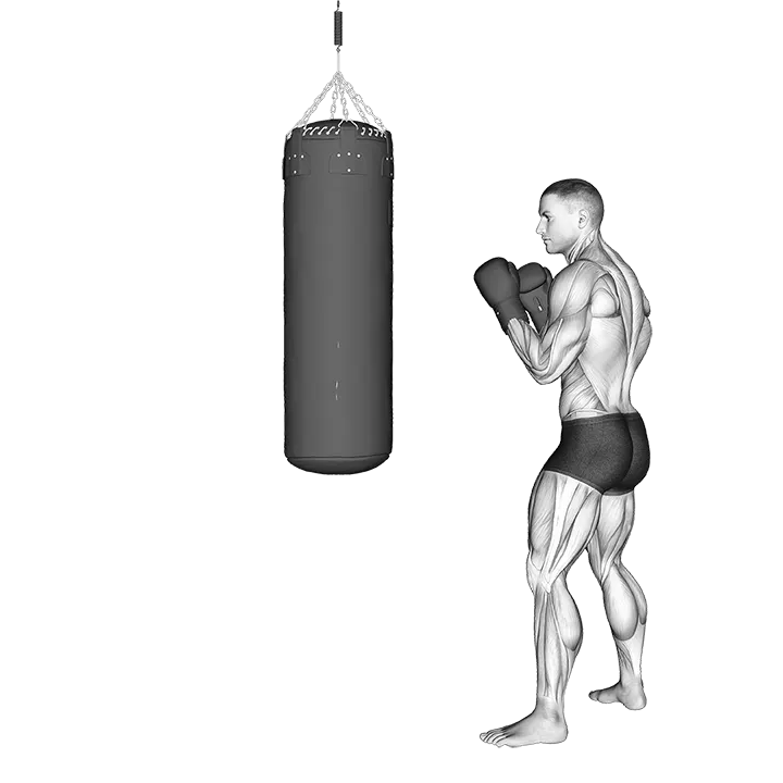 Front Snap Kick Kickboxing (with boxing bag) exercise animation (Male)