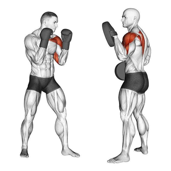 Boxing Jab (with partner) exercise animation (Male)